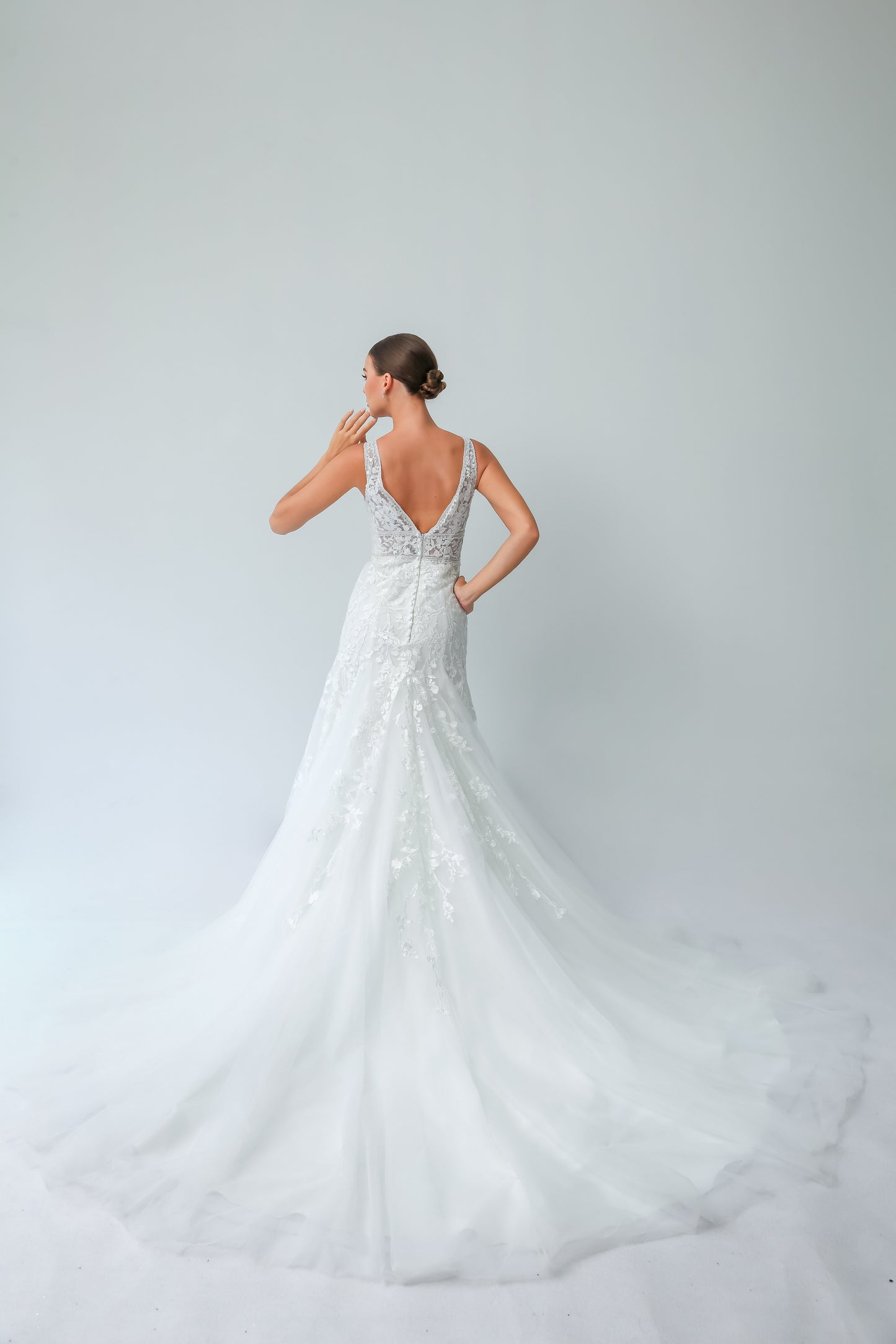 Illusion V-Neck A-Line Wedding Gown with Waist Cutouts & Deep V-Back | Briderful - back