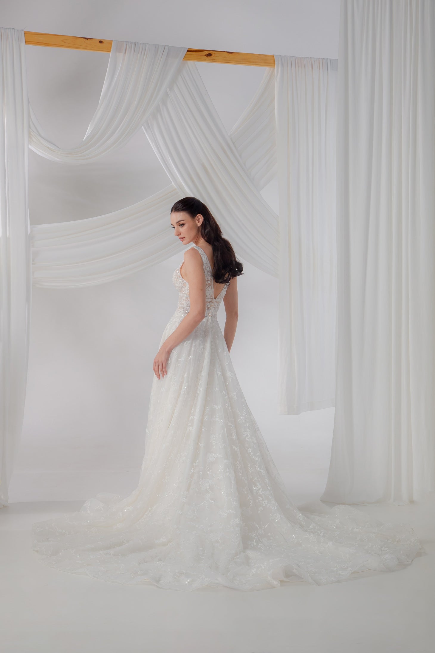 Illusion V-Neck A-Line Gown with Intricate Lace & Waist Cutouts | Briderful - side